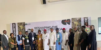Innovation, ideas key to Africa’s economic transformation — Onwualu
