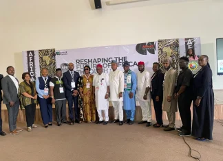 Innovation, ideas key to Africa’s economic transformation — Onwualu