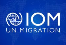 Over 8,000 migrants dead or missing in 2025, IOM reports