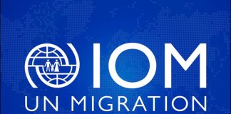 Over 8,000 migrants dead or missing in 2025, IOM reports