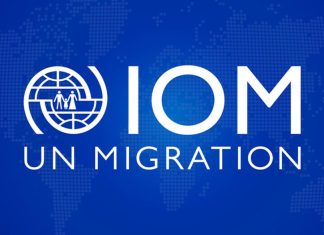 Over 8,000 migrants dead or missing in 2025, IOM reports