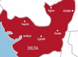 Pipeline security firm claims 96% Oil output in Niger Delta