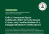 FG signals multi-stakeholder cybersecurity council to boost national resilience