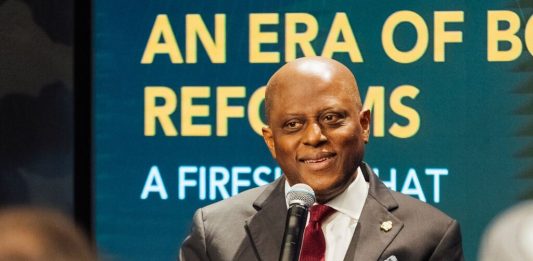 Olayemi Cardoso, CBN Governor