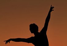 Dance guild pushes for professional recognition on World Dance Day 2026