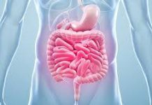 Top 7 reasons to improve gut health through agriculture for Africa’s future