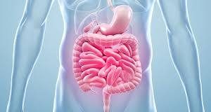 Top 7 reasons to improve gut health through agriculture for Africa’s future