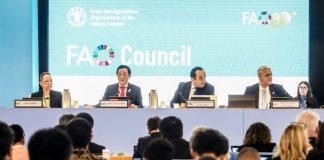 Strait of Hormuz crisis threatens global food security, FAO warns