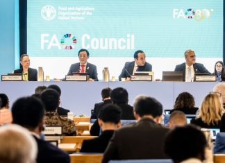Strait of Hormuz crisis threatens global food security, FAO warns