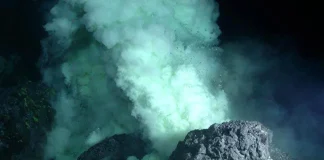 CSOs and Bille Kingdom demand urgent action over underwater gas eruption