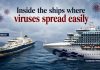 Viruses at sea: How hantavirus and coronavirus turned cruise ships into floating laboratories