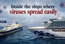 Viruses at sea: How hantavirus and coronavirus turned cruise ships into floating laboratories