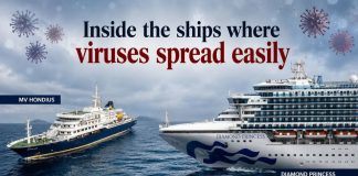 Viruses at sea: How hantavirus and coronavirus turned cruise ships into floating laboratories
