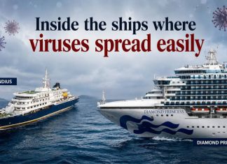 Viruses at sea: How hantavirus and coronavirus turned cruise ships into floating laboratories