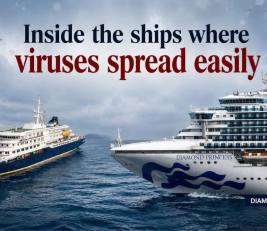 Viruses at sea: How hantavirus and coronavirus turned cruise ships into floating laboratories