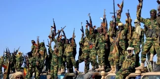 Troops arrest suspected ISWAP collaborator supplying items to terrorist son in Borno