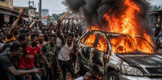 US-based Nigerian doctor brutalised, SUV torched after false kidnap accusation
