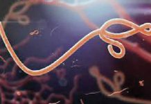 Nigeria intensifies Ebola surveillance amid fresh outbreak fears in East Africa