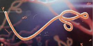 Nigeria intensifies Ebola surveillance amid fresh outbreak fears in East Africa