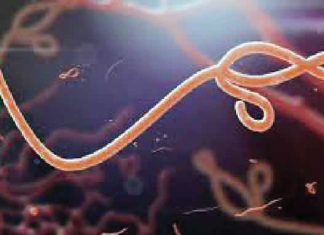Nigeria intensifies Ebola surveillance amid fresh outbreak fears in East Africa