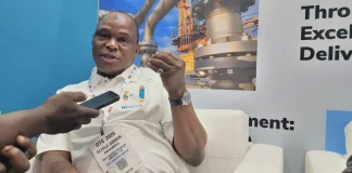 Energy expert urges Nigeria to fast-track shift to cleaner energy economy
