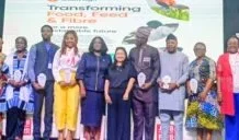 Federal Government and NECA prioritize AI skills to tackle unemployment at 2026 Job Fair