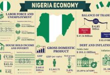 Top 7 government initiatives that failed to unlock Nigeria’s economy and why