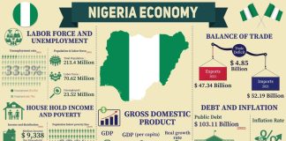 Top 7 government initiatives that failed to unlock Nigeria’s economy and why
