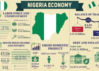 Top 7 government initiatives that failed to unlock Nigeria’s economy and why