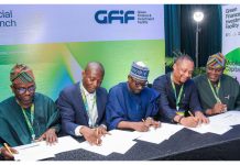 New $188 Million Green Finance Facility launched to scale solar energy in Nigeria