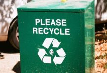NGO urges investment in waste recycling to combat pollution, create Jobs
