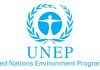 UNEP warns of global sand crisis as extraction outpaces natural replenishment