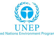 UNEP warns of global sand crisis as extraction outpaces natural replenishment