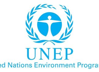 UNEP warns of global sand crisis as extraction outpaces natural replenishment