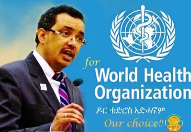 WHO awards global health prizes to primary healthcare innovators