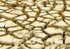 North-West Climate Summit 2026 aims to transform region into green investment hub