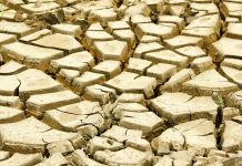 North-West Climate Summit 2026 aims to transform region into green investment hub