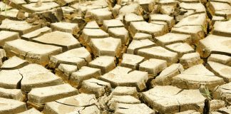 North-West Climate Summit 2026 aims to transform region into green investment hub