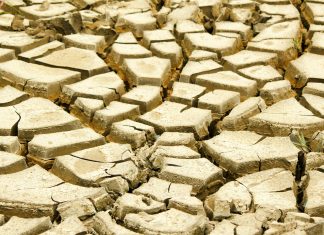 North-West Climate Summit 2026 aims to transform region into green investment hub