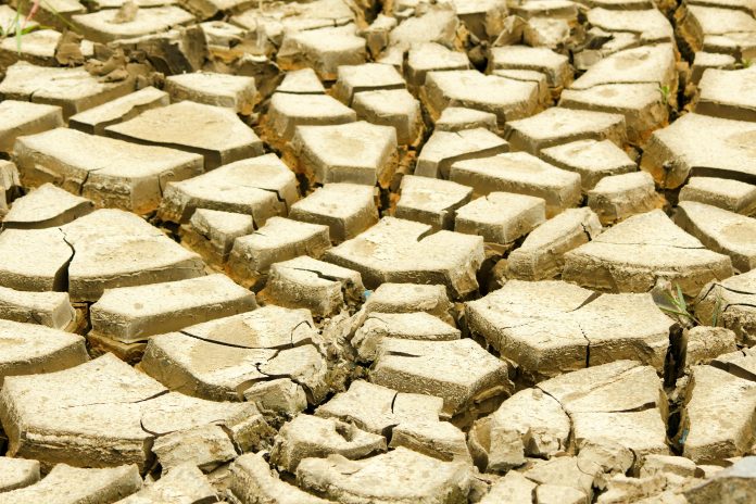 climate