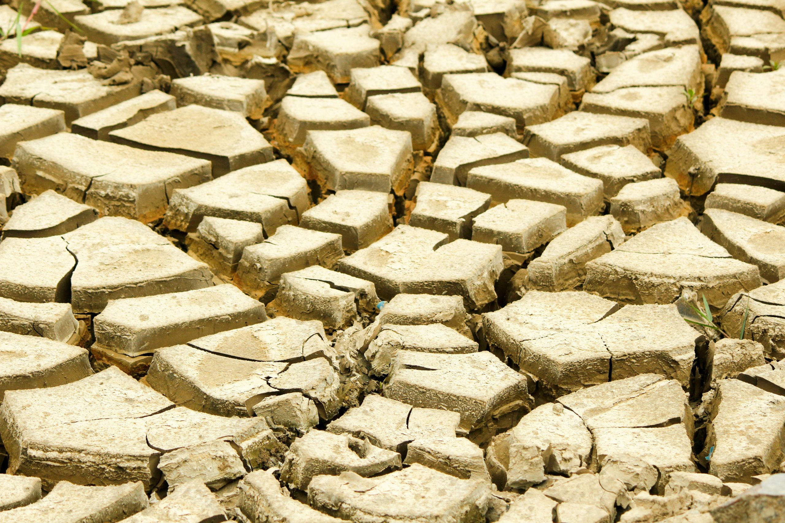 North-West Climate Summit 2026 aims to transform region into green investment hub