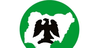 Nigerian community in South Africa disputes denial of migrant killings