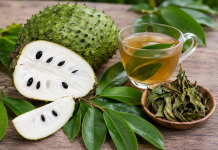 Health expert warns against excessive use of soursop leaves