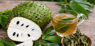 Health expert warns against excessive use of soursop leaves