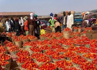 Traders and residents voice concern over rising prices of tomatoes and pepper
