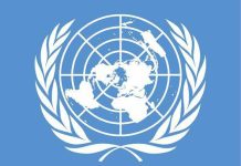 UNCTAD reports global renewable energy transition requires over $1 trillion annually by 2030