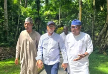 Governors renew call for tourism investment after Ikogosi resort visit