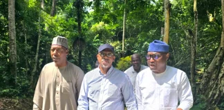 Governors renew call for tourism investment after Ikogosi resort visit