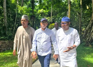 Governors renew call for tourism investment after Ikogosi resort visit