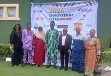 Experts push AI, local innovation to tackle Nigeria’s energy access challenge